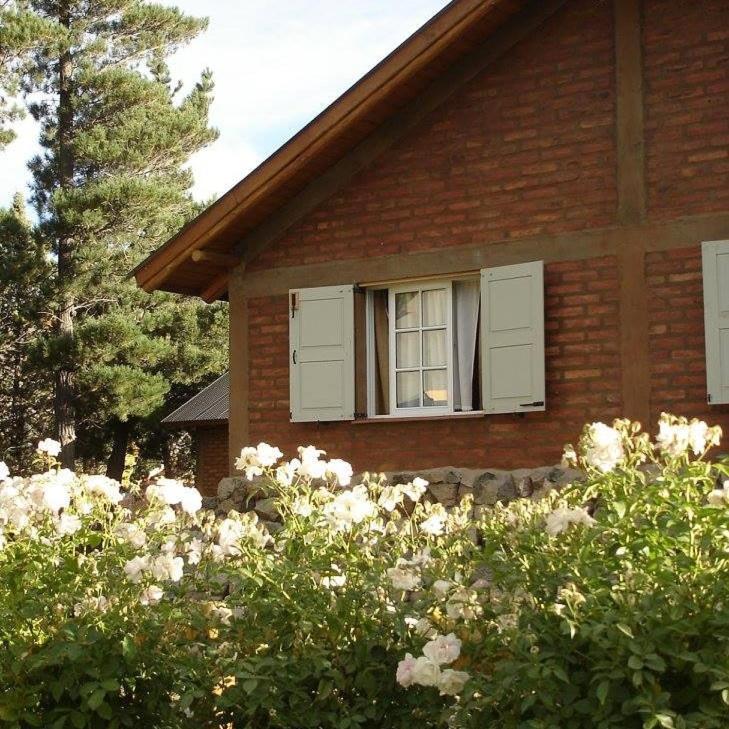 Cabanas Pyracantha Esquel Kültér fotó